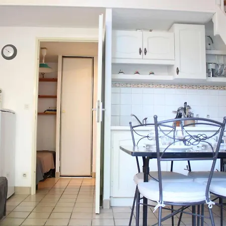 T1 Bis Avec Mezzanine, Terrasse Et Piscine A - Fr-1-246c-18